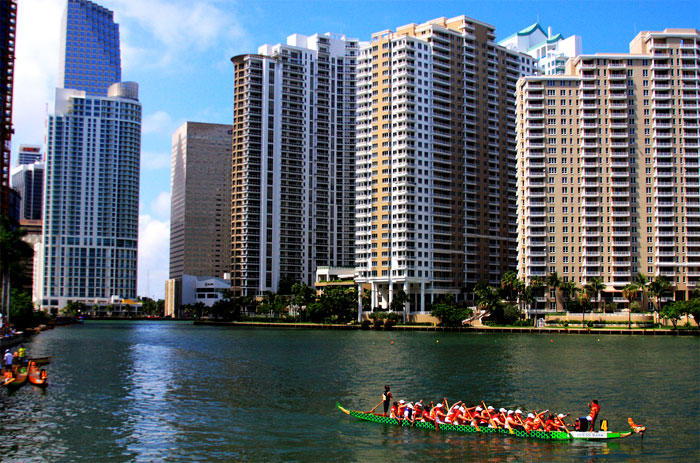 Miami Hongkong Dragon Boat Competition